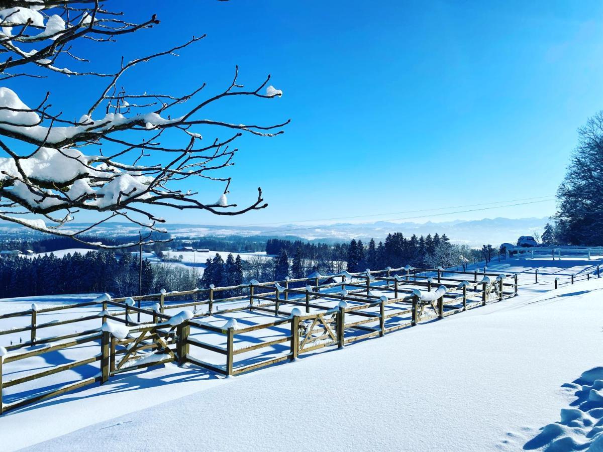 Gut Buchenhof Daire Buchenberg  Dış mekan fotoğraf