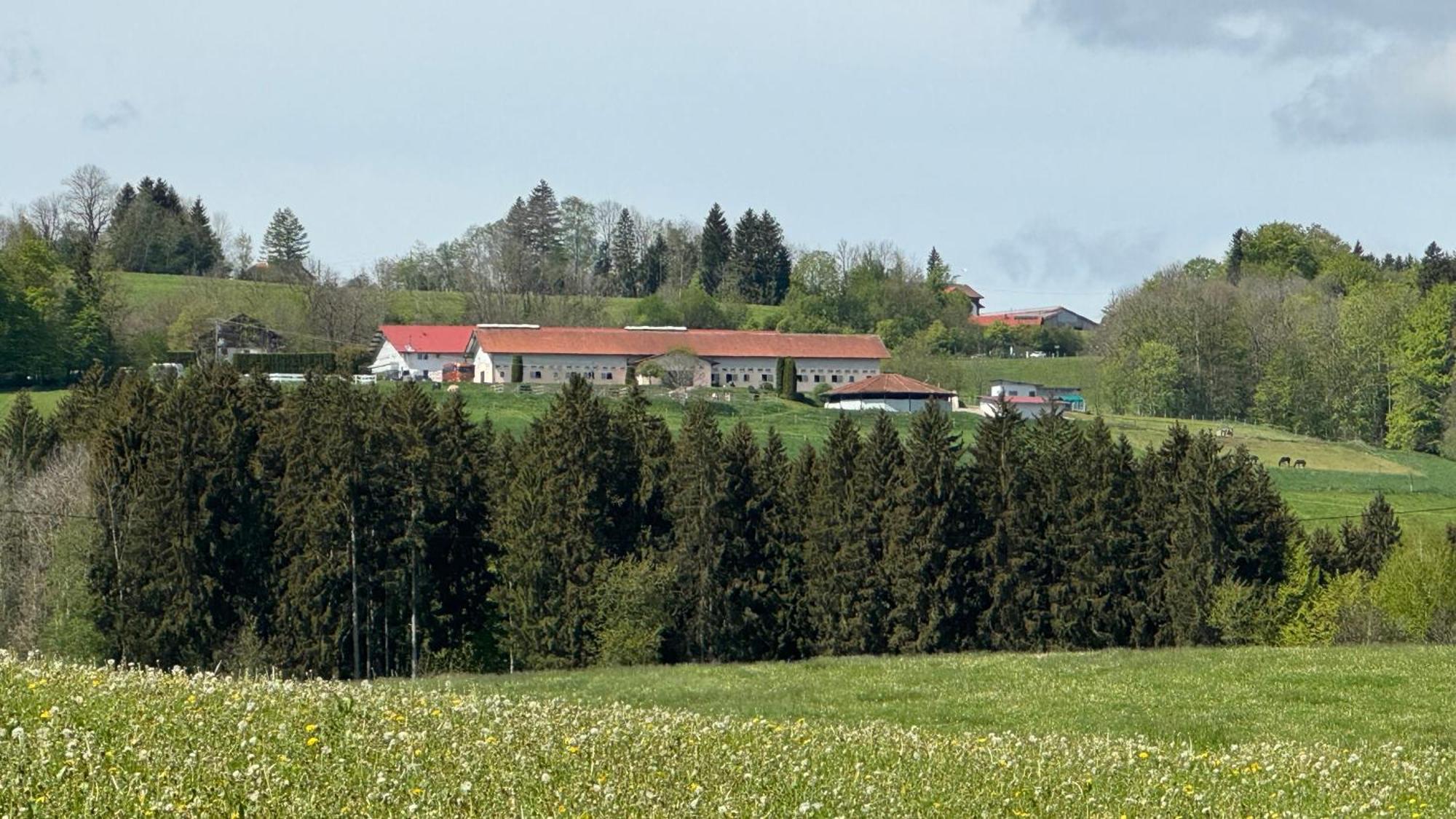 Gut Buchenhof Daire Buchenberg  Dış mekan fotoğraf